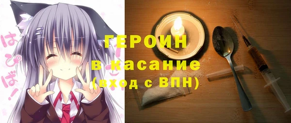 гашик Алексин