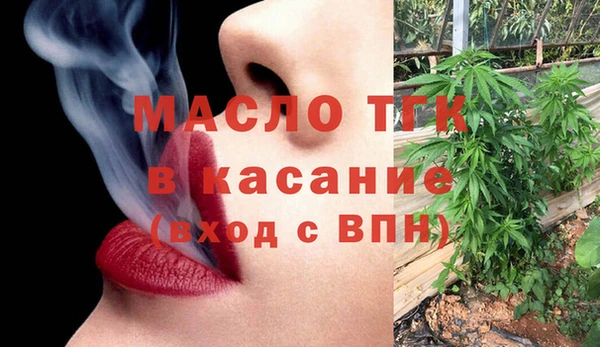 гашик Алексин