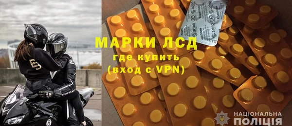 гашик Алексин