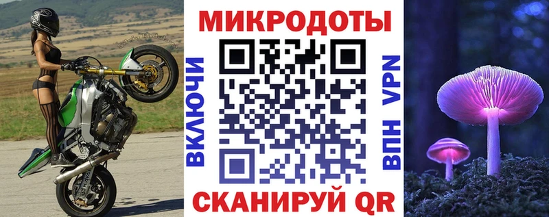 Галлюциногенные грибы MAGIC MUSHROOMS  сколько стоит  Петровск-Забайкальский 